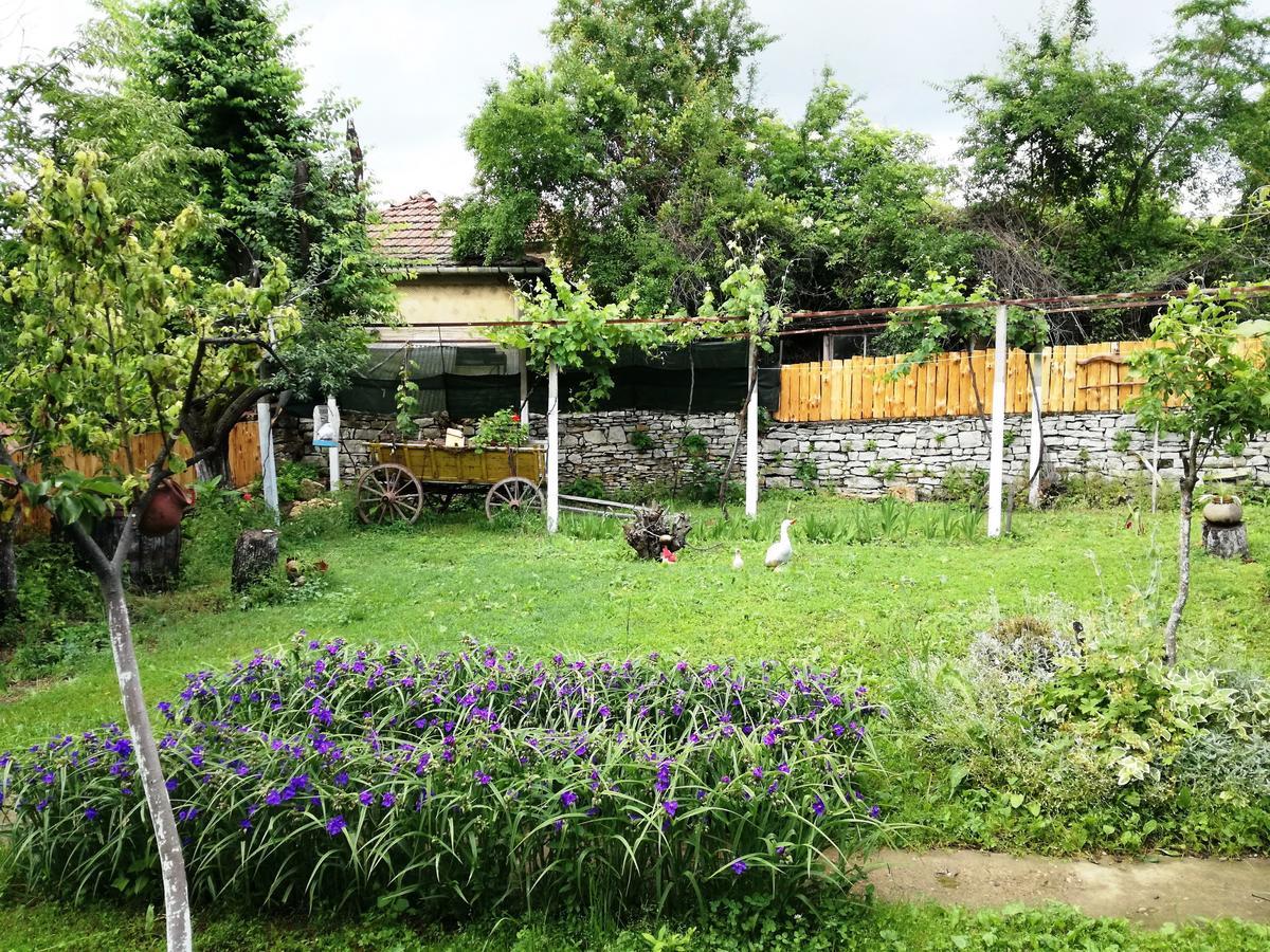 Divna Guest House Krushuna Dış mekan fotoğraf